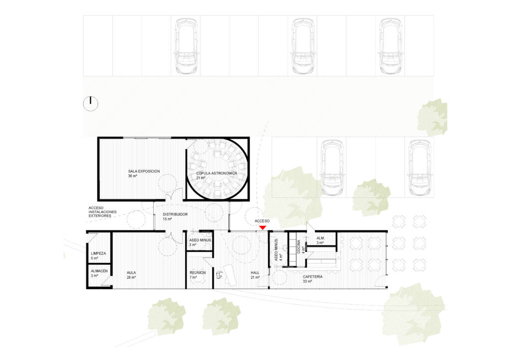 EIVISSKY_PLANTA